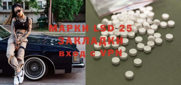 стафф Зерноград