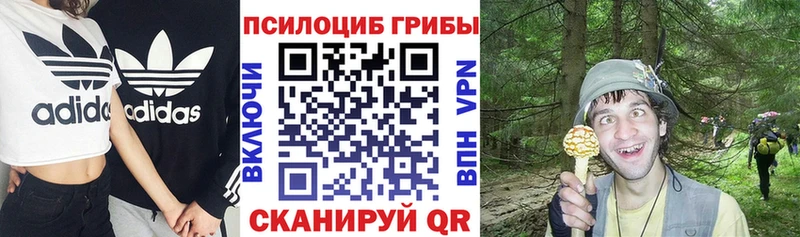 блэк спрут ссылка  закладка  Каргополь  Псилоцибиновые грибы Psilocybe 