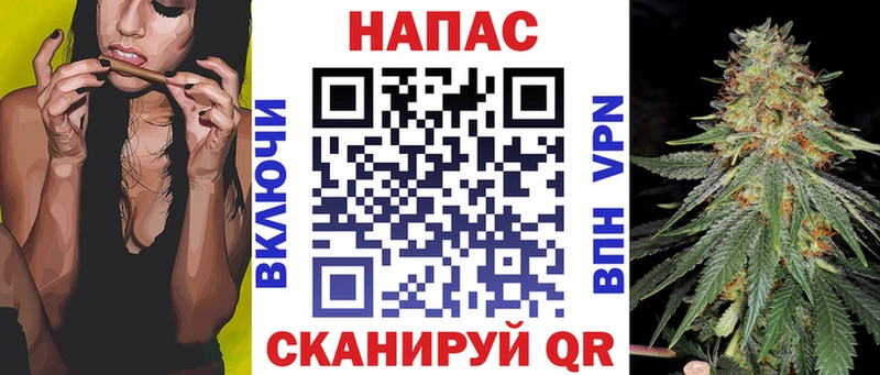 Конопля сатива  где купить наркотик  Каргополь 